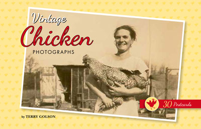 Vintage Chicken Photographs