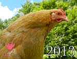 2013_calendar_cover_150px