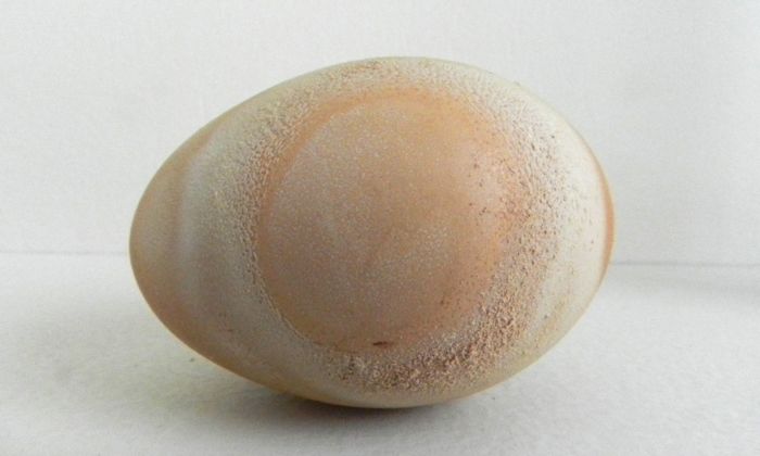 rough egg