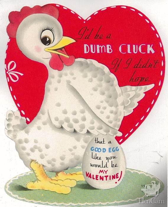 valentine chick