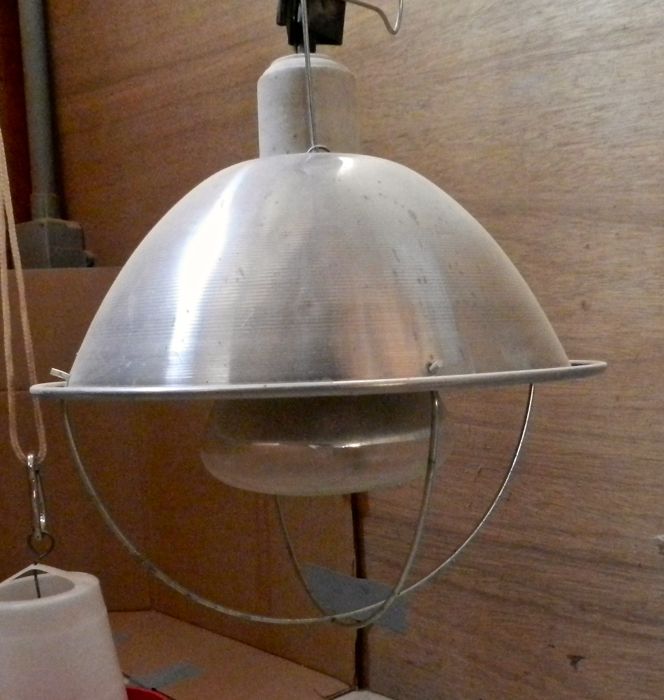 heat lamp