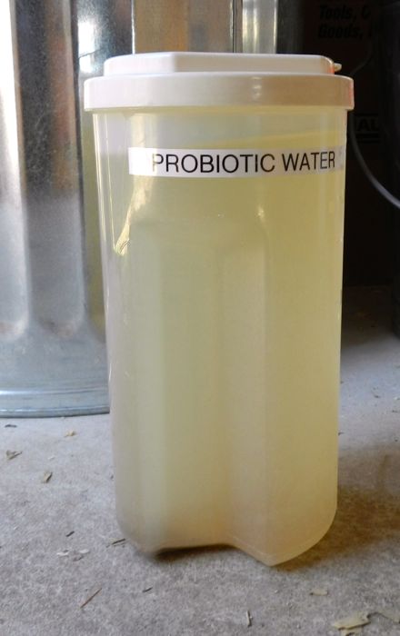 probiotic water