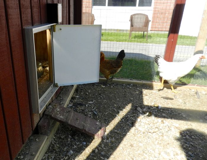 make your own automatic chicken door