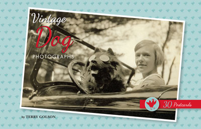 Vintage Dog Photographs