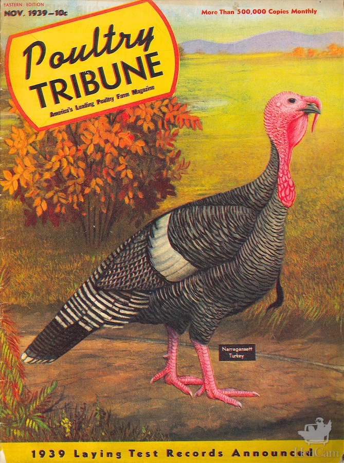 vintage turkey
