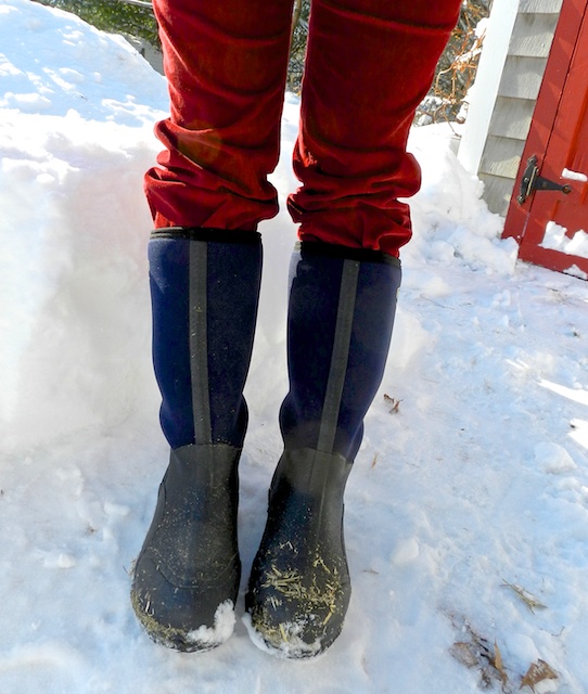 The Best Winter Barn Boots Hencam