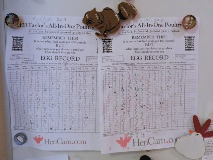 Forest Story Egg Chart