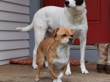 Scooter and Lily