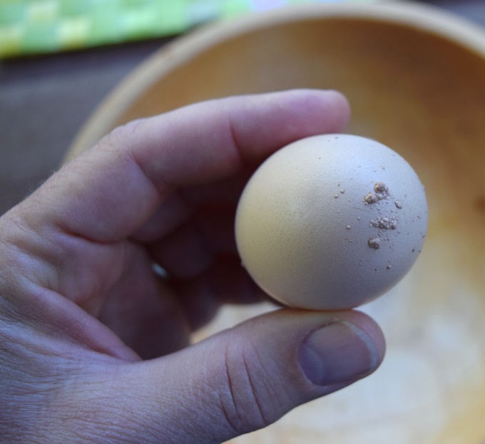 egg with bumps