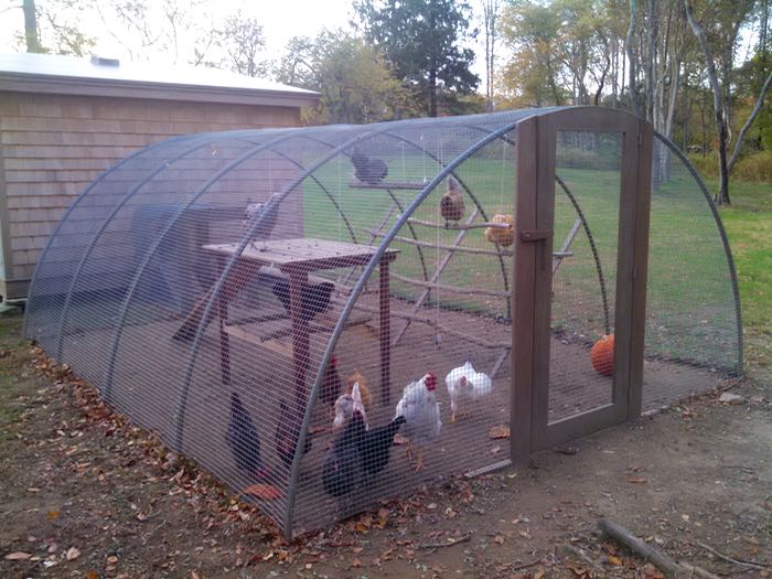 chicken pen layout