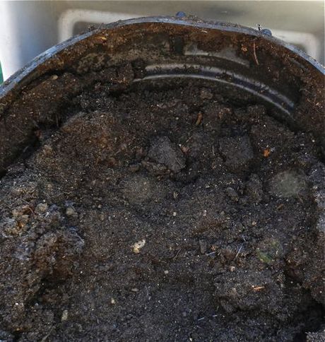 Compost Bins and Chicken Manure | HenCam