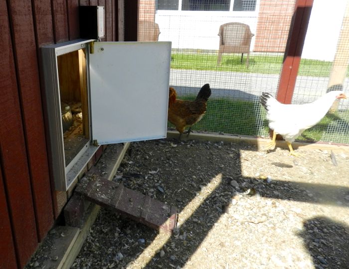 Automatic Chicken Coop Door HenCam